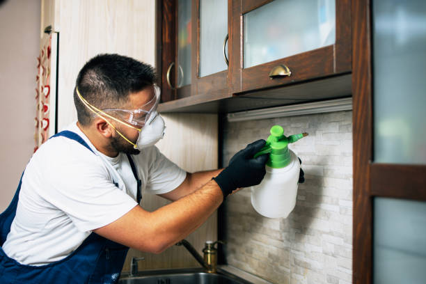 Best Pest Prevention Services  in Forest Meadows, CA