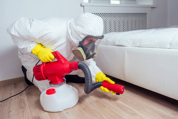 Best Pest Removal Services  in Forest Meadows, CA