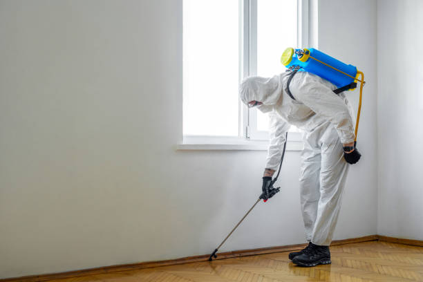 Best Bed Bug Extermination  in Forest Meadows, CA