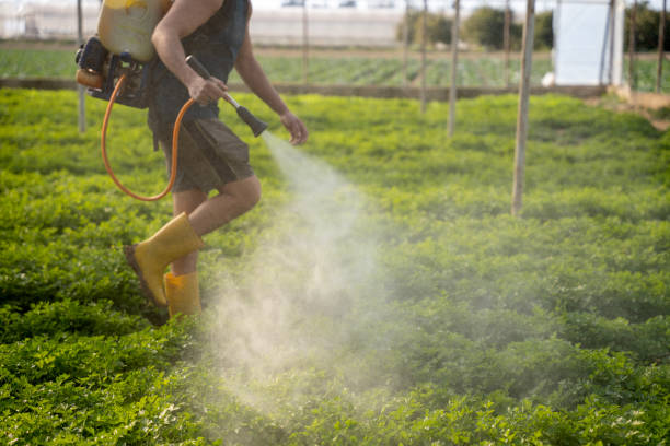 Best Commercial Pest Control Services  in Forest Meadows, CA
