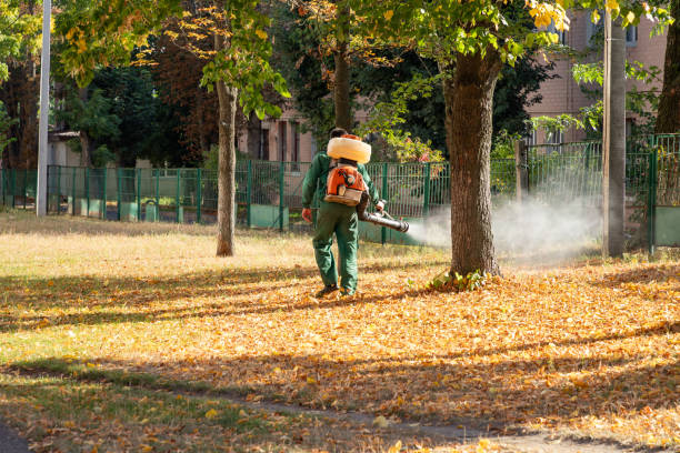Best Affordable Pest Control Services  in Forest Meadows, CA