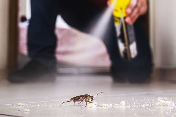 Best Wildlife Control Services  in Forest Meadows, CA