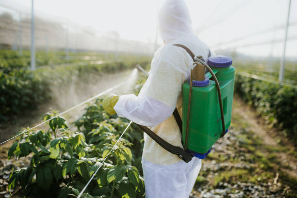 Best Mosquito Control Services  in Forest Meadows, CA